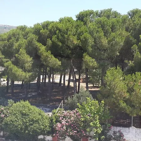 Etap Altinel